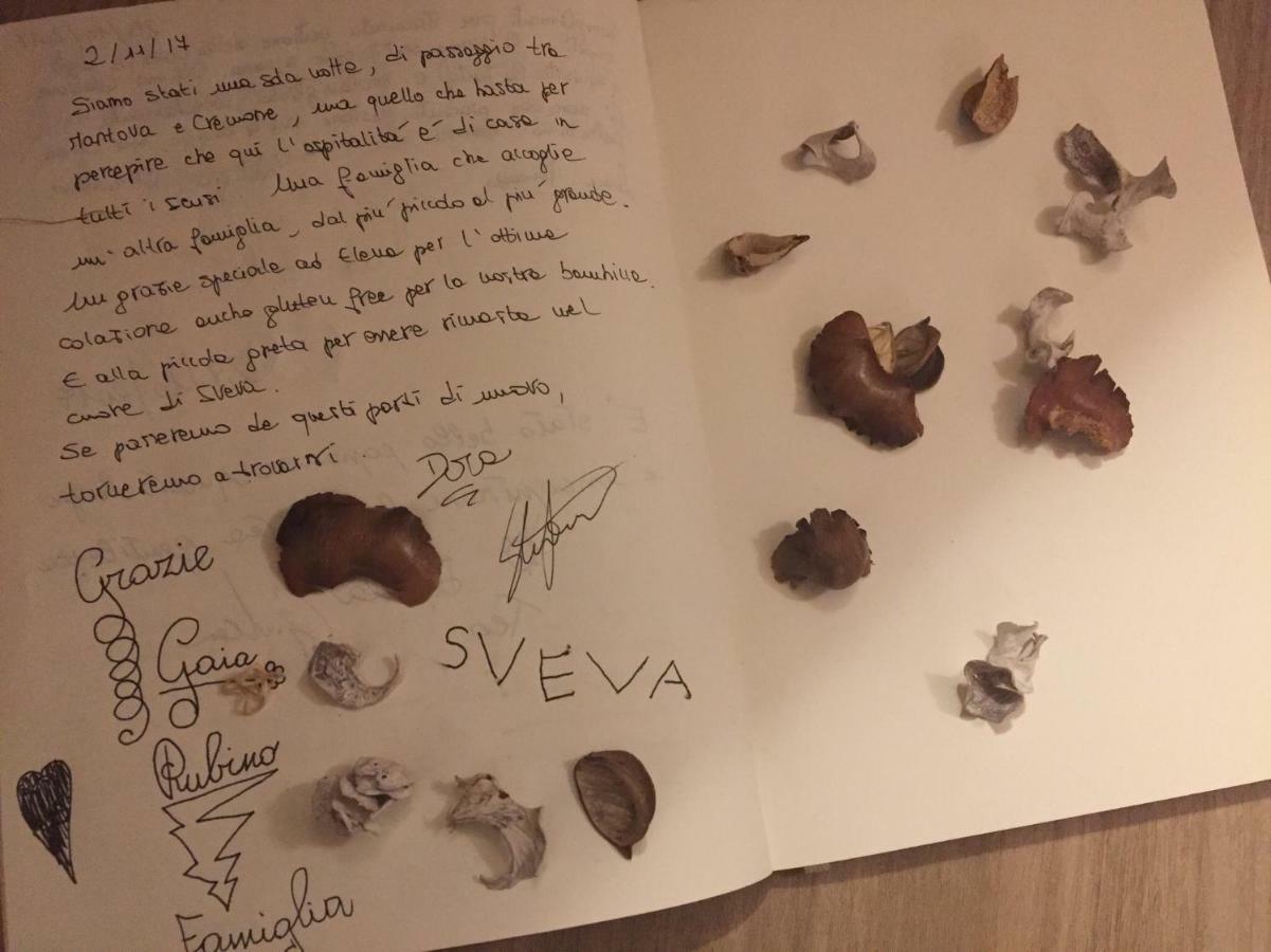 B&B Cascina Sagrestia Asola Kültér fotó